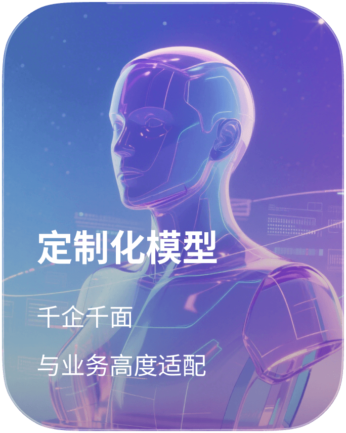 定制化模型